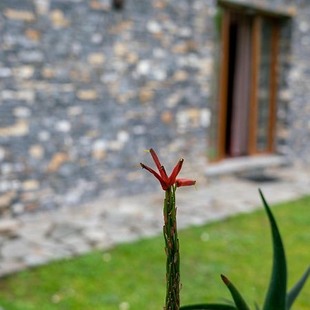 Collina E Mare Villa Camogli Exterior photo