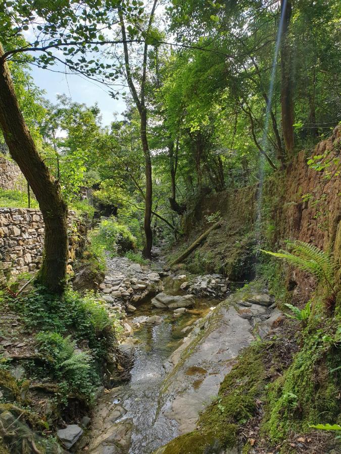 Collina E Mare Villa Camogli Exterior photo